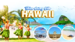 Tour Hawaii Honolulu - Royal Tourist