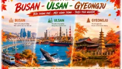 Tour Busan Gyeongju Ulsan - Royal Tourist