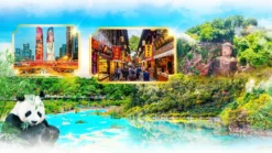 Tour Thành Đô Cửu Trại Câu - Royal Tourist