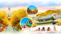 Tour Busan Gyeongju Ulsan Seoul - Royal Tourist