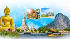 Tour Bangkok Pattaya Coral Island - Royal Tourist