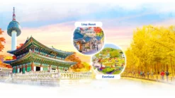 Tour Seoul Nami - Royal Tourist