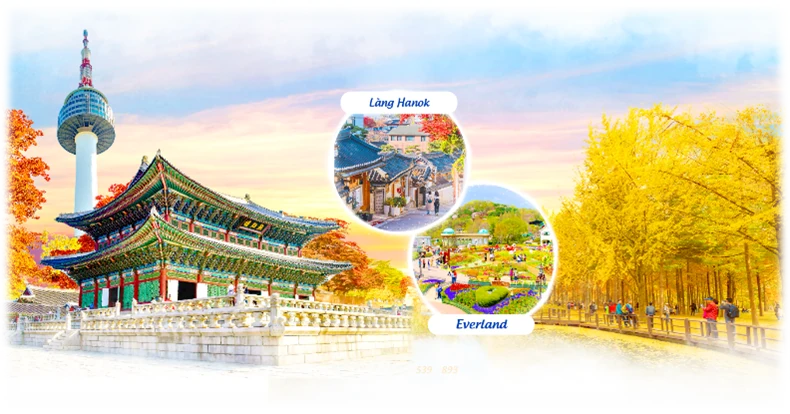 1 Tour Seoul Nami - Royal Tourist