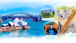 Nhà hát Opera Sydney, cầu cảng Sydney, cáp treo Blue Mountains và gấu koala