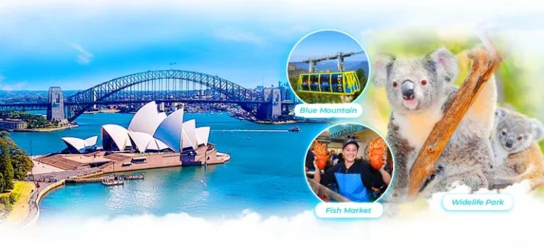 Nhà hát Opera Sydney, cầu cảng Sydney, cáp treo Blue Mountains và gấu koala